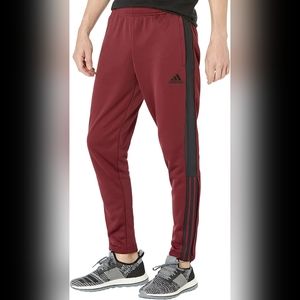 Adidas Maroon Tiro Stadium pants